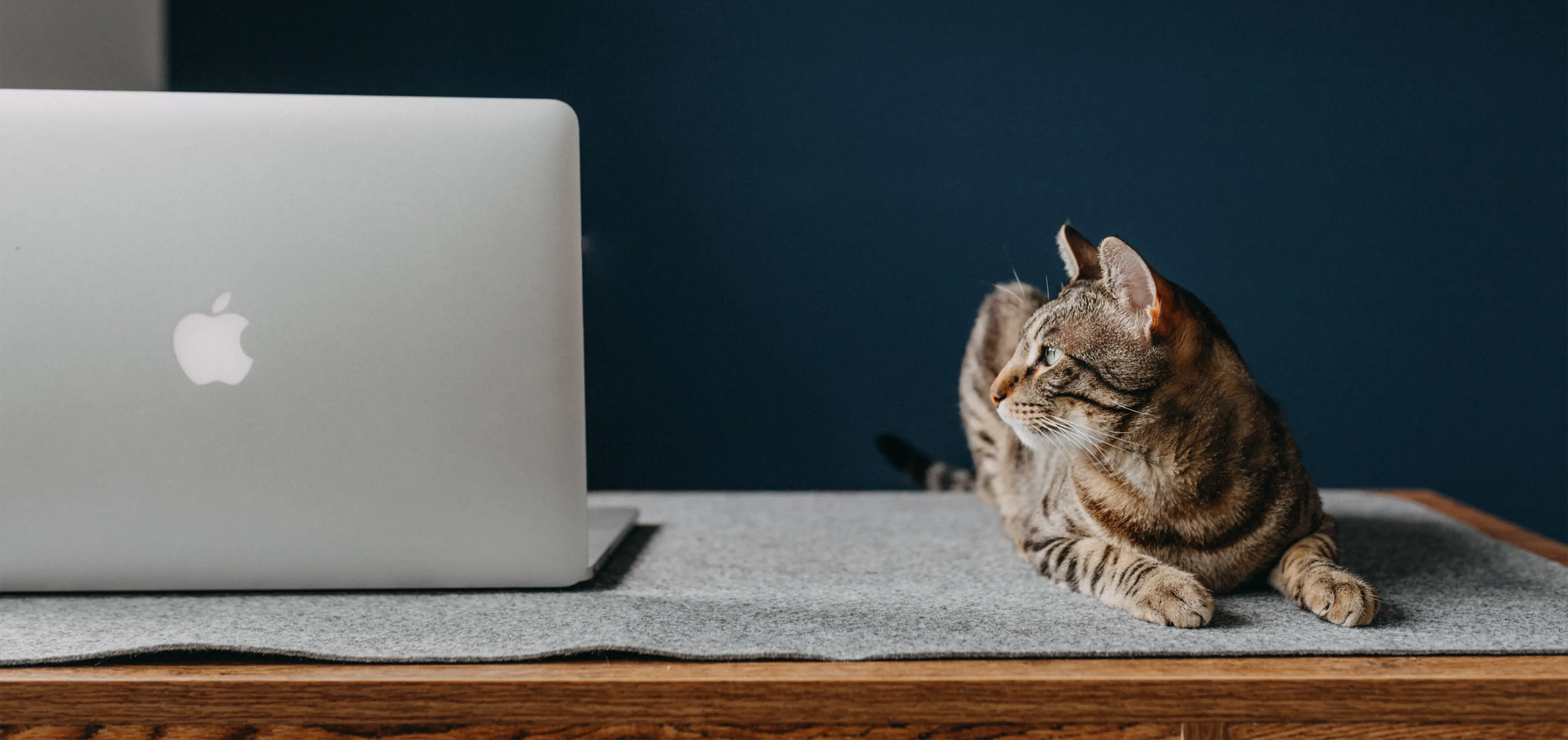 CAT tools are used for the felicitation of translation for human translators and EZ has made one of their own to work in a much better, faster and secure way